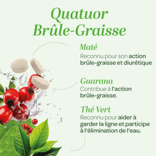 SuperDiet Quatuor Brûle Graisse Comprimés