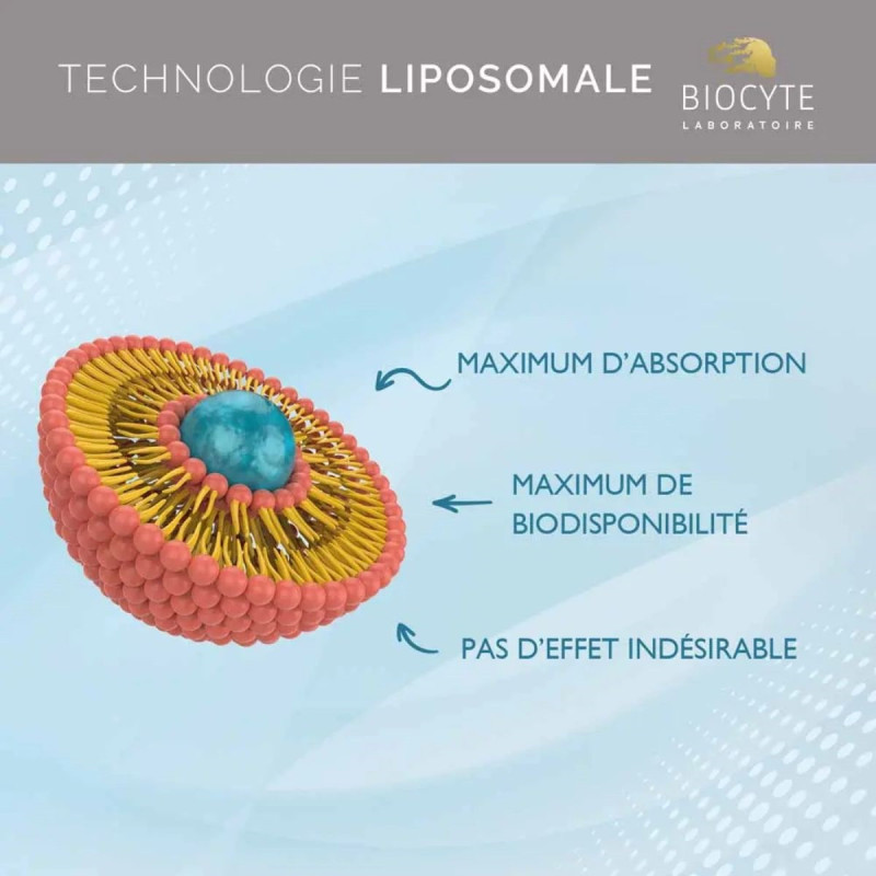 Biocyte Cal/Mag/Zinc Liposomal Minéraux Essentiels Biocyte Cal/Mag/Zinc Liposomal Minéraux Essentiels