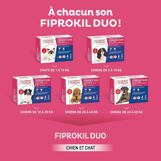 Clément Thékan Fiprokil Duo Chien Pipettes