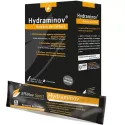 Effinov Sport Hydraminov Boisson de l'effort 10 sticks NEUTRE