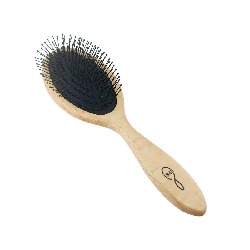 1845 Brosse à Cheveux Grand Modèle