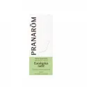 Eucalyptus Radié 10ml Huile Essentielle Pranarôm