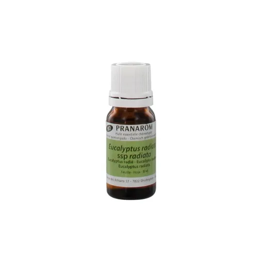 Eucalyptus Radié Bio 10ml Huile Essentielle Pranarôm