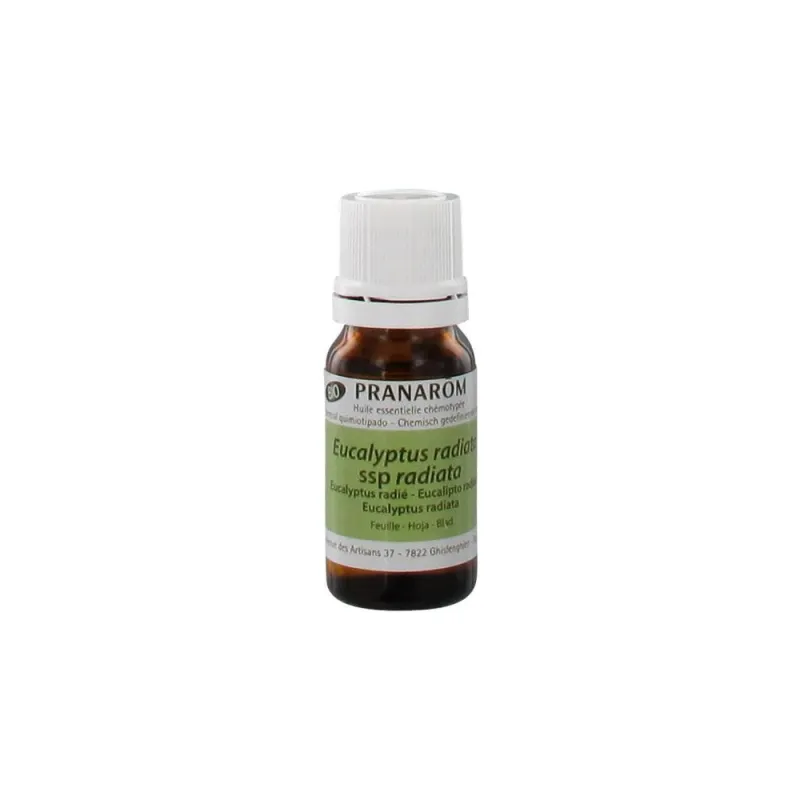 Eucalyptus Radié Bio 10ml Huile Essentielle Pranarôm