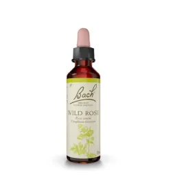 Fleur de Bach Original Wild rose ( Eglantine ) 37