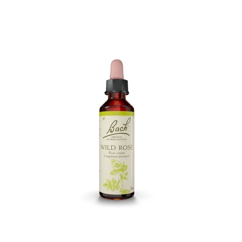 Fleur de Bach Original Wild rose ( Eglantine ) 37