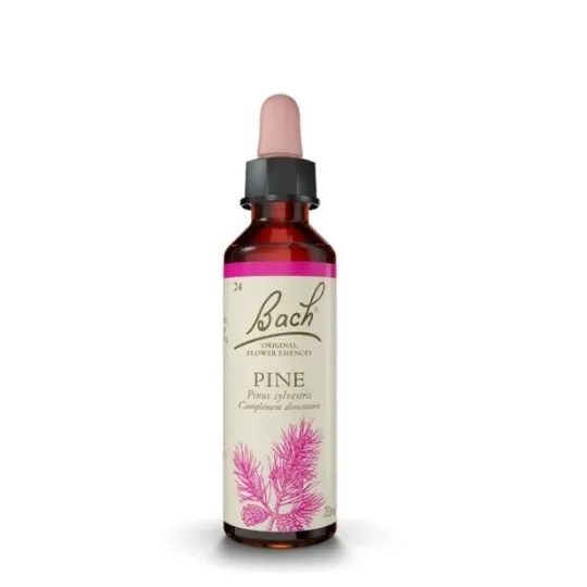 Fleur de Bach Original Pine ( Pin Sylvestre) 24 Fleur de Bach Original Pine ( Pin Sylvestre) 24