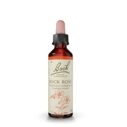 Fleur de Bach original Rock Rose ( Hélianthème ) 26