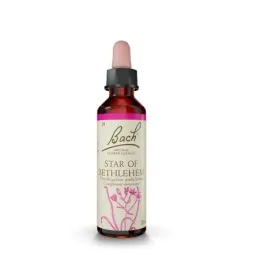 Fleur de Bach Original Star of Bethlehem ( Dame d'onze heure ) 29