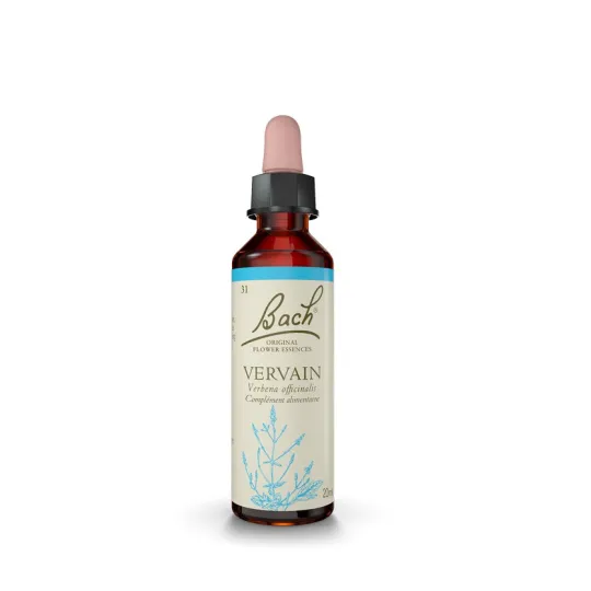 Fleur de Bach Original Vervain ( verveine) 31 Fleur de Bach Original Vervain ( verveine) 31