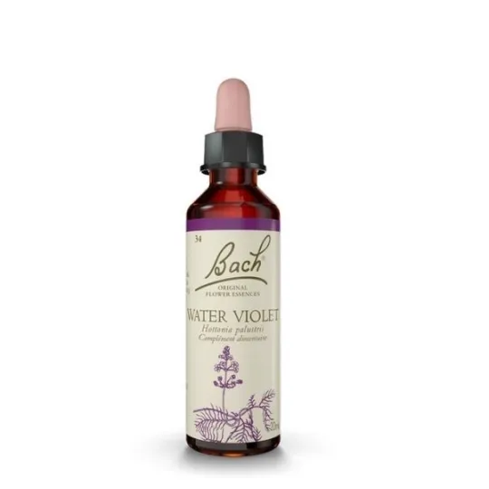 Fleur de Bach original Water Violet ( Hottonie des eaux ) 34 Fleur de Bach original Water Violet ( Hottonie des eaux ) 34