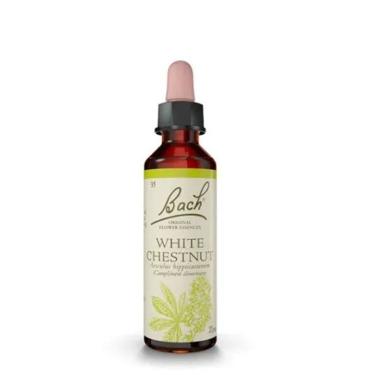 Fleur de Bach Original White Chestnut ( Marronier blanc ) 35