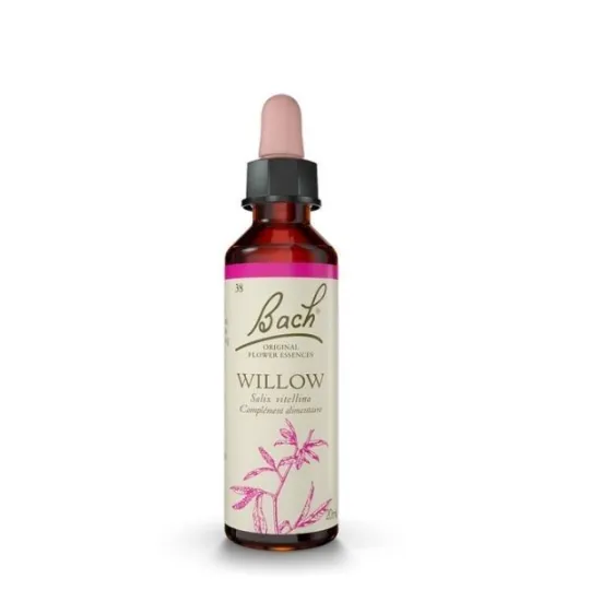 Fleur de Bach Original Willow ( Saule) 38 Fleur de Bach Original Willow ( Saule) 38