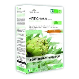 Flora Natura Artichaud Bio Foie-Bien-Etre Du Foie 20 Ampoules de 15ml