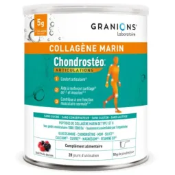 Granions Chondrostéo Collagène Marin 280g