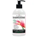 Helvetia Natura Shampooing Vitalisant Bio Gingembre Marron d'inde et Ginkgo Biloba 500ml