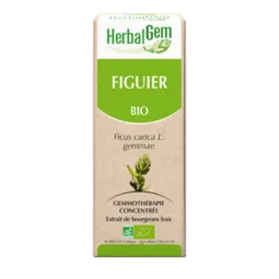 Herbalgem Figuier Bio 30ml