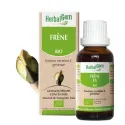 HerbalGem Frêne Bio 30ml HerbalGem Frêne Bio 30ml
