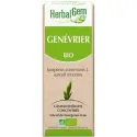 Herbalgem Genévrier Bio 30ml Herbalgem Genévrier Bio 30ml
