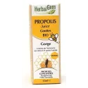 Herbalgem Propolis Bio Junior Gorge Gouttes 15ml Herbalgem Propolis Bio Junior Gorge Gouttes 15ml