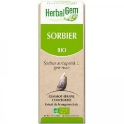 Herbalgem Sorbier Bio 30ml