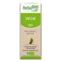Herbalgem Vigne Bio 30ml