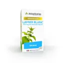 Arkogélules Lamier blanc 45 gélules