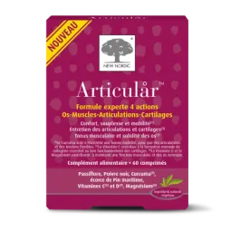 New Nordic Articular 60 comprimés