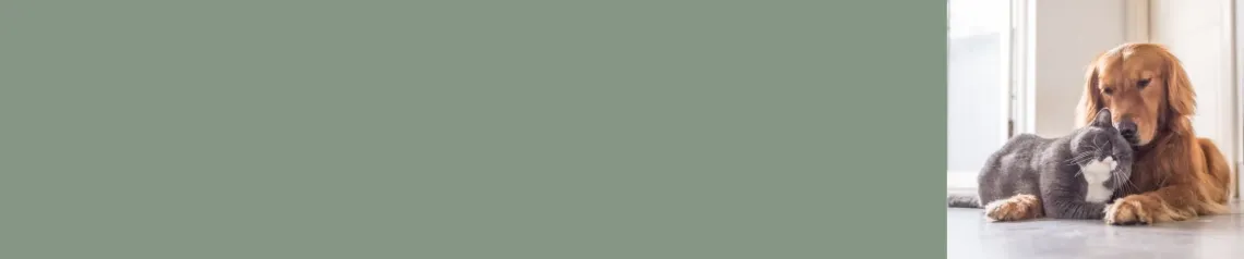 Produits Vétérinaires pour chats et pour chiens