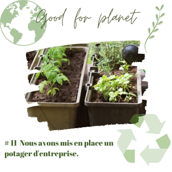 potager d'entreprise