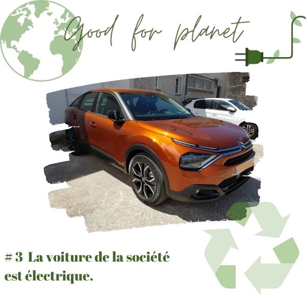 voitures de société électrique