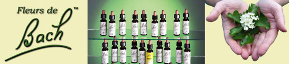 Toutes les Fleurs de Bach sur Universpara.com, parapharmacie en ligne